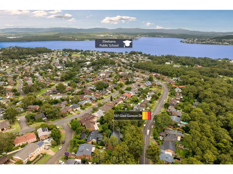 107 Glad Gunson Drive, Eleebana NSW 2282