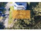 28 Dora Street, Cooranbong NSW 2265