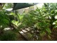 33 Moani Street, Wangi Wangi NSW 2267