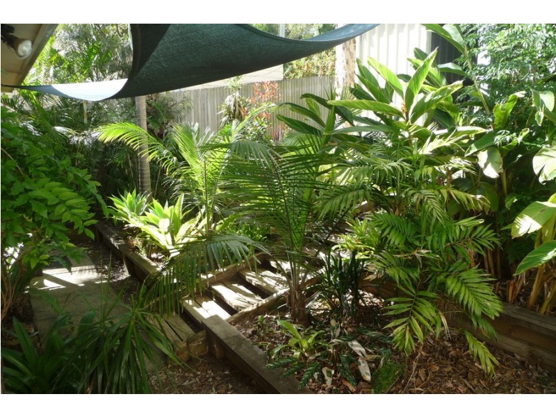 33 Moani Street, Wangi Wangi NSW 2267