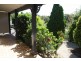 1 Pangari Place, Lambton NSW 2299