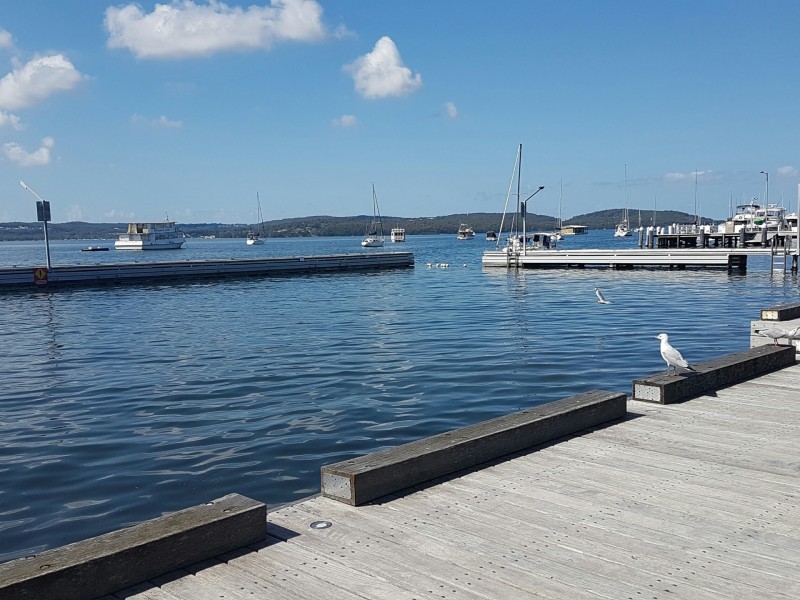 18 Victory Parade, Toronto NSW 2283