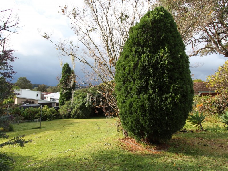 31 Tallawalla Road, Valentine NSW 2280