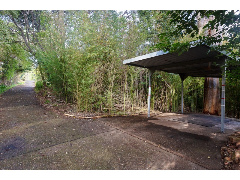 41 Lees Street, Charlestown NSW 2290