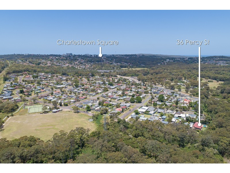 36 Percy Street, Hillsborough NSW 2290