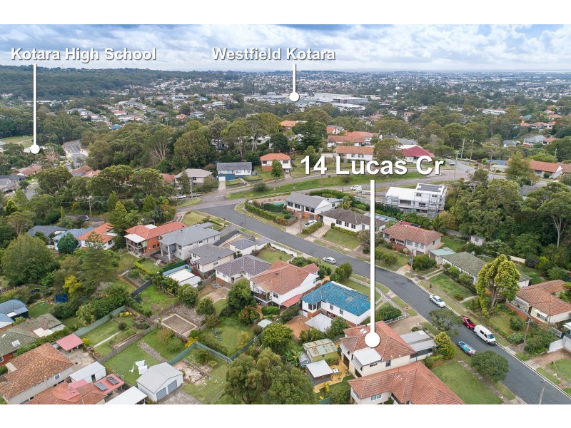 14 Lucas Crescent, Adamstown Heights NSW 2289