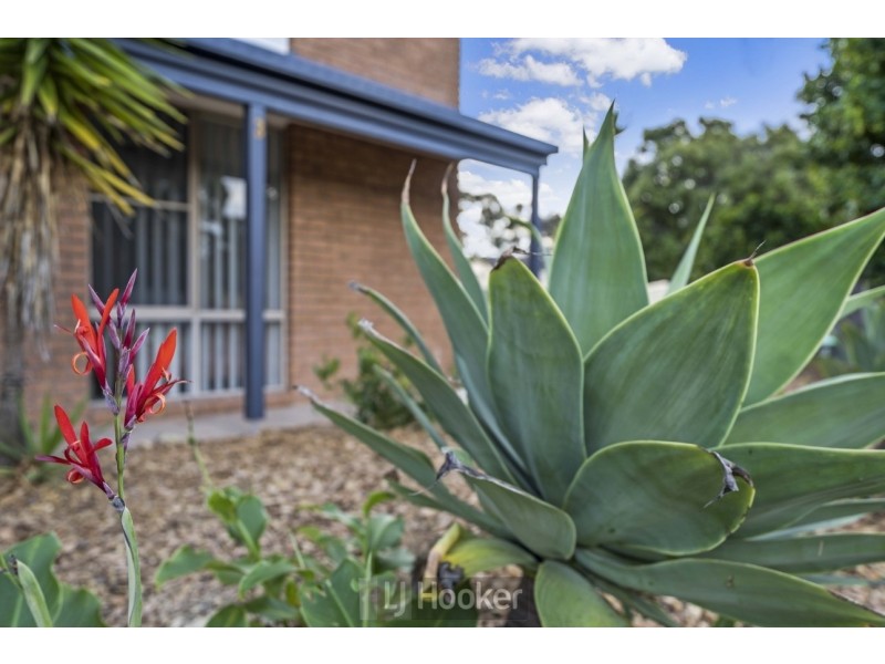 3 Aurora Court, Warners Bay NSW 2282