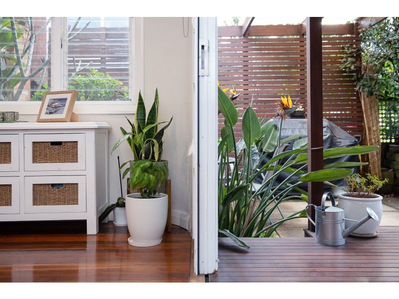 16 Jean Street, New Lambton NSW 2305