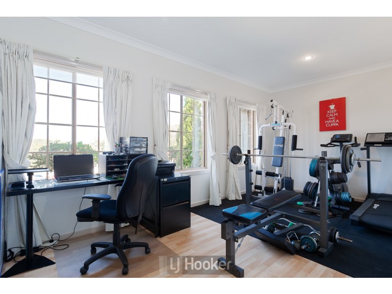 16 Chevron Close, Floraville NSW 2280