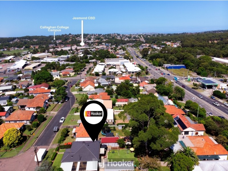 53 Abbott Street, Wallsend NSW 2287