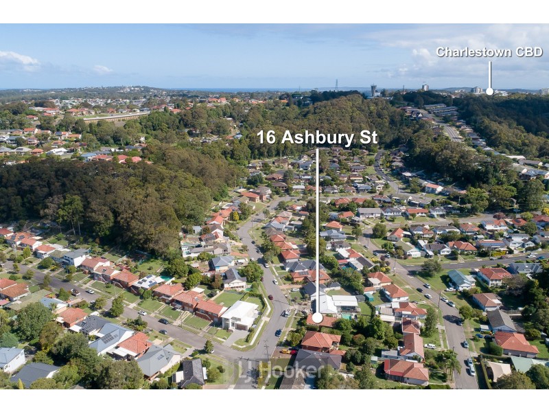 16 Ashbury Street, Adamstown Heights NSW 2289