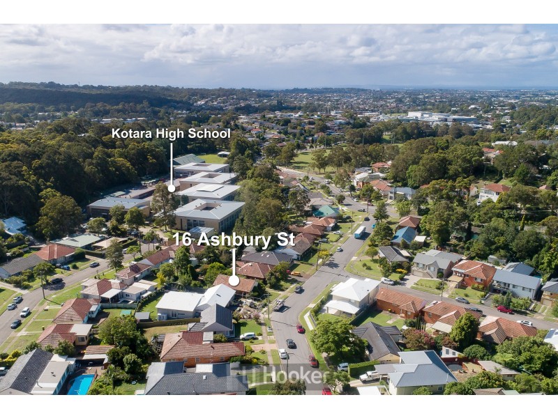 16 Ashbury Street, Adamstown Heights NSW 2289
