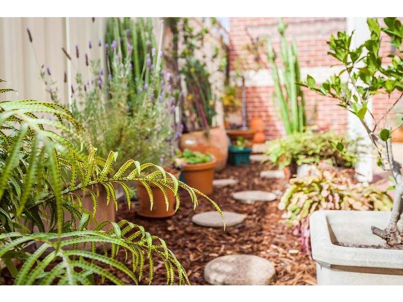 4/15 Archibald Road, Balcatta WA 6021