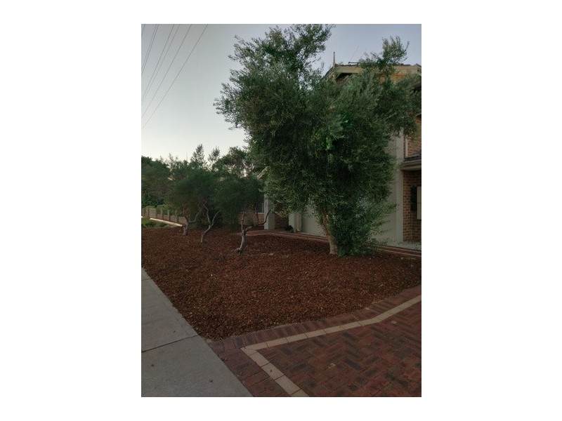 2/42 Churchill Avenue, Dudley Park WA 6210