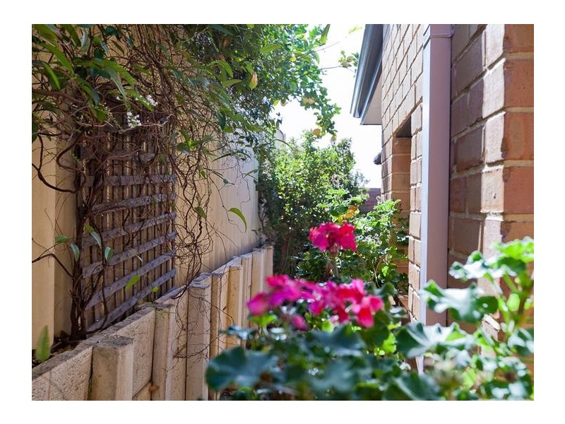 3/317 Scarborough Beach Road, Woodlands WA 6018