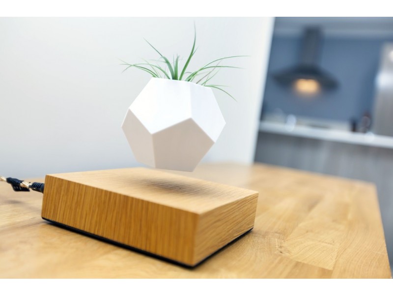 46D Dyson Street, Kensington WA 6151