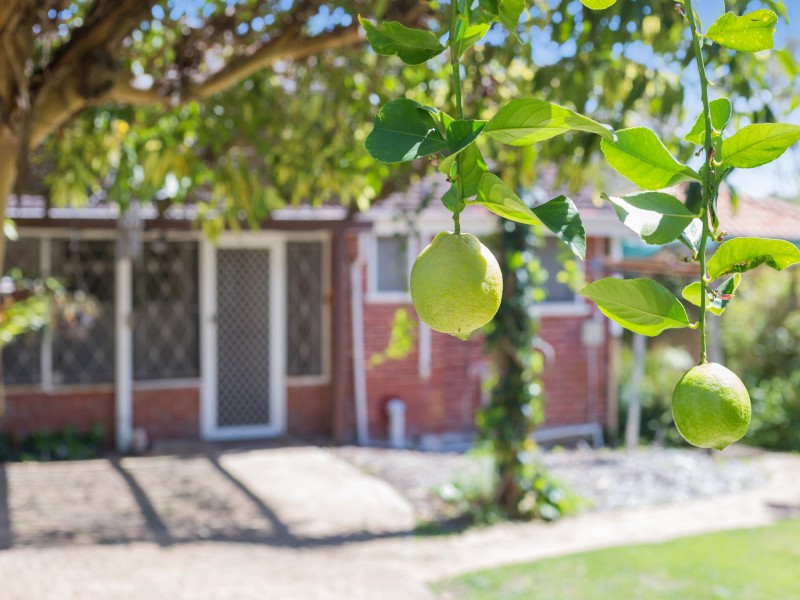 8 Kinross Crescent, Floreat WA 6014