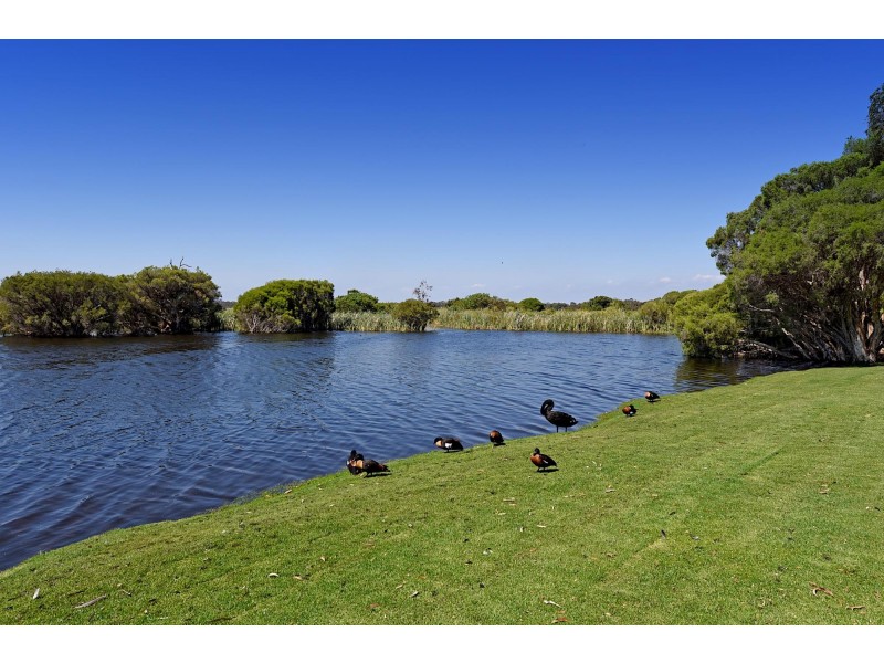 5 Bronzewing Loop, Wembley WA 6014