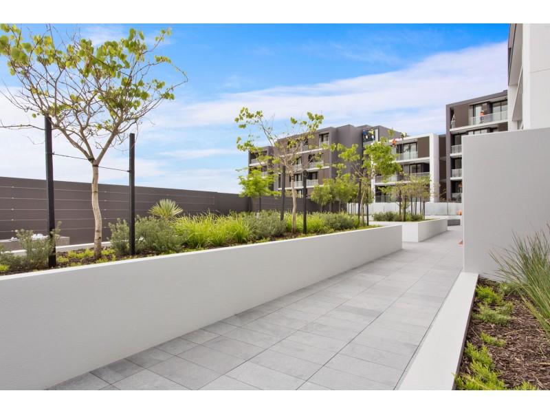 411/15 Freeman Loop, North Fremantle WA 6159