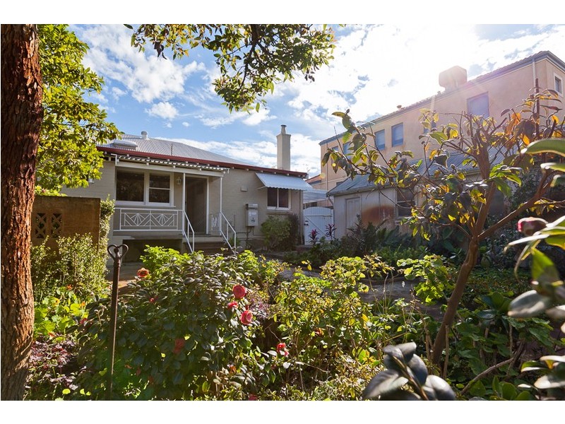 20 Langham Street, Nedlands WA 6009