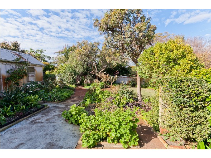 20 Langham Street, Nedlands WA 6009