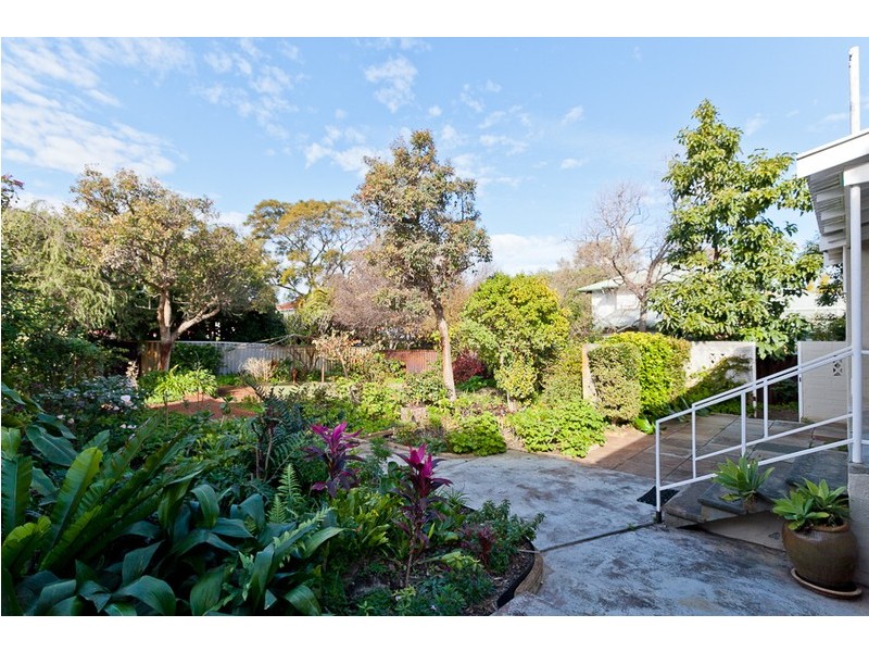 20 Langham Street, Nedlands WA 6009