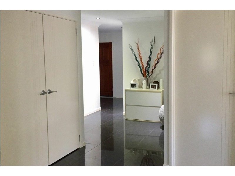 14 Butterfly Court, Jubilee Pocket QLD 4802