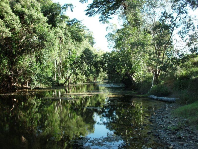 59 Whitsunday Drive, Bloomsbury QLD 4799
