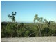 Lot 22 Exmoor Road, Bloomsbury QLD 4799