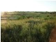 Lot 178 Lindeman Drive, Bloomsbury QLD 4799