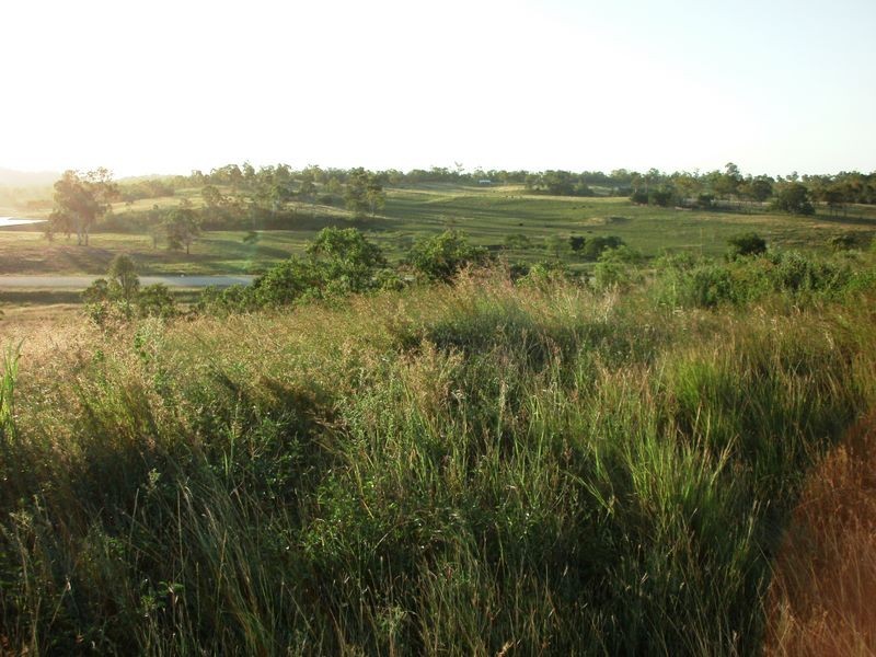 Lot 178 Lindeman Drive, Bloomsbury QLD 4799
