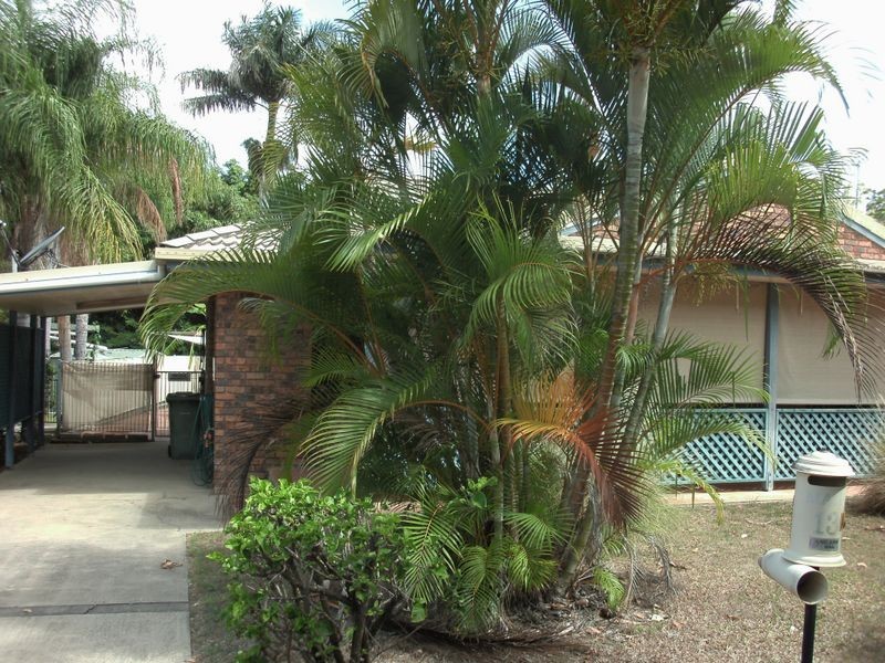 13 A Wildlife Road, Jubilee Pocket QLD 4802