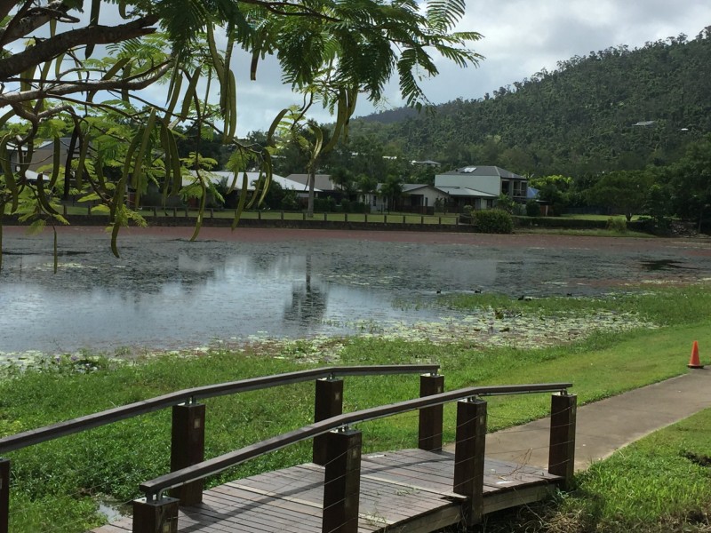 49 Abell Road, Cannonvale QLD 4802