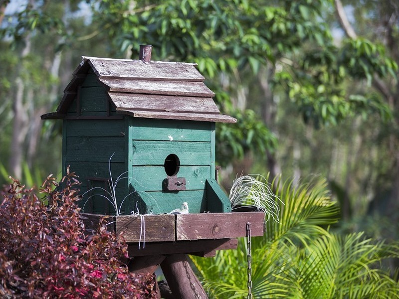 33 Fisher Road, Conway QLD 4800