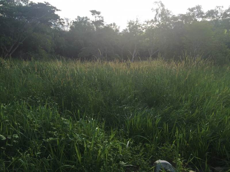 Lot 2, 122 Patullo Road, Gregory River QLD 4800