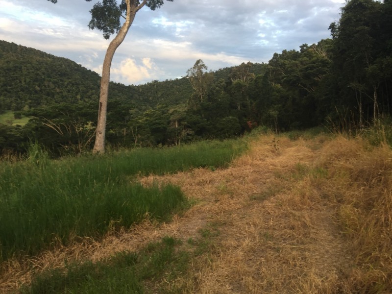 Lot 2, 122 Patullo Road, Gregory River QLD 4800