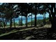 317 Mandalay Road, Mandalay QLD 4802