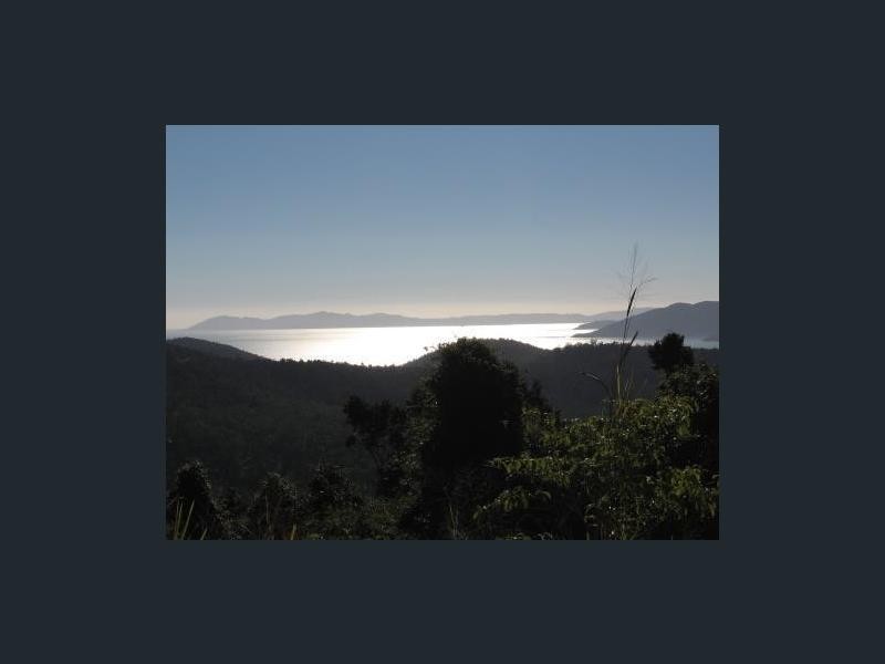 481 Sugarloaf Road, Riordanvale QLD 4800