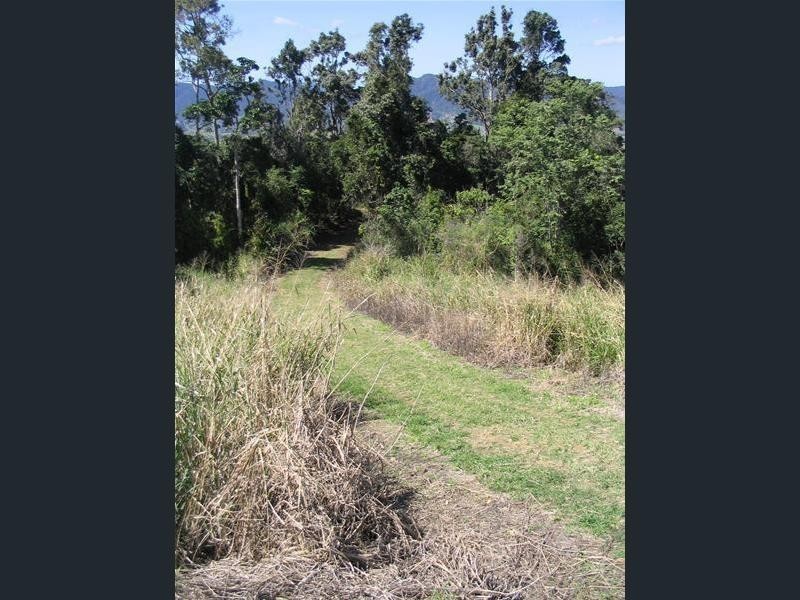 481 Sugarloaf Road, Riordanvale QLD 4800