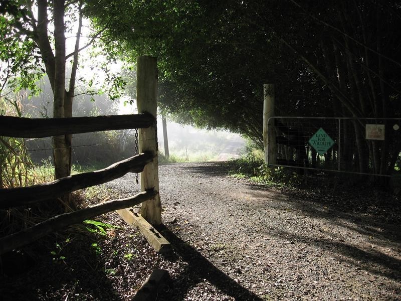 481 Sugarloaf Road, Riordanvale QLD 4800