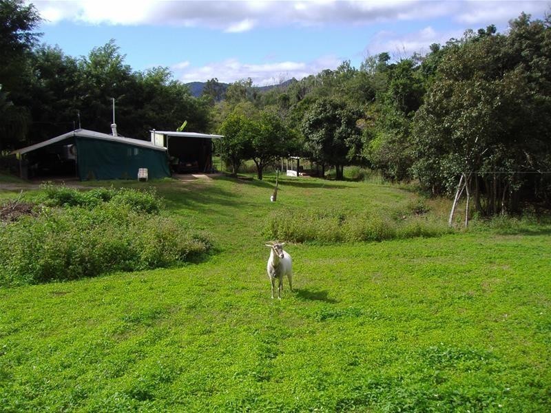 481 Sugarloaf Road, Riordanvale QLD 4800