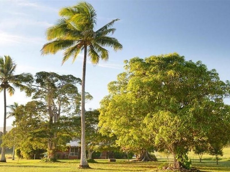 491 Gregory Cannon Valley Road, Gregory River QLD 4800