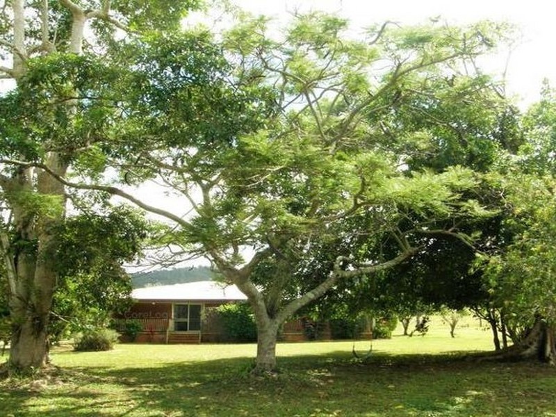 491 Gregory Cannon Valley Road, Gregory River QLD 4800