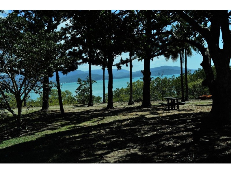 315 Mandalay Road, Mandalay QLD 4802