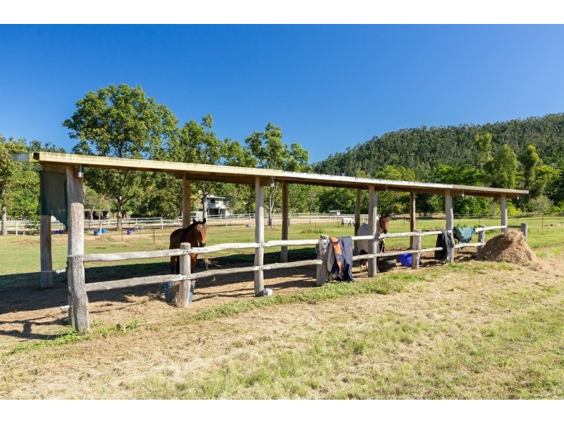18 Moon Crescent, Sugarloaf QLD 4800