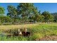 18 Moon Crescent, Sugarloaf QLD 4800