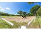 18 Moon Crescent, Sugarloaf QLD 4800