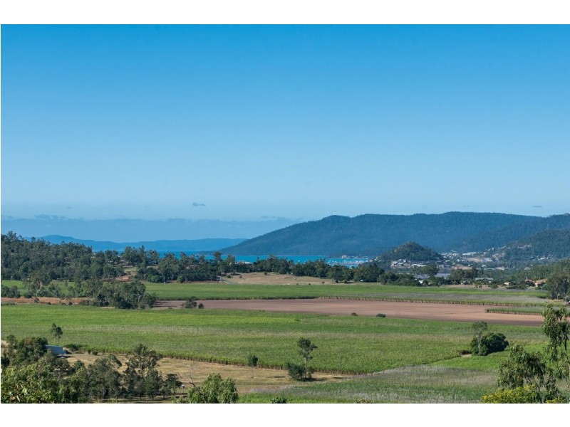 345 Riordanvale Road, Riordanvale QLD 4800