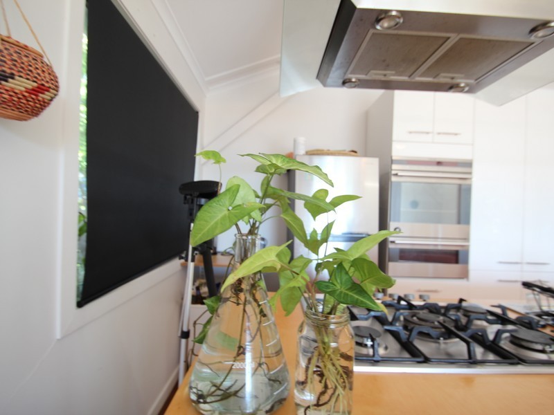 66 Coolum Terrace, Coolum Beach QLD 4573