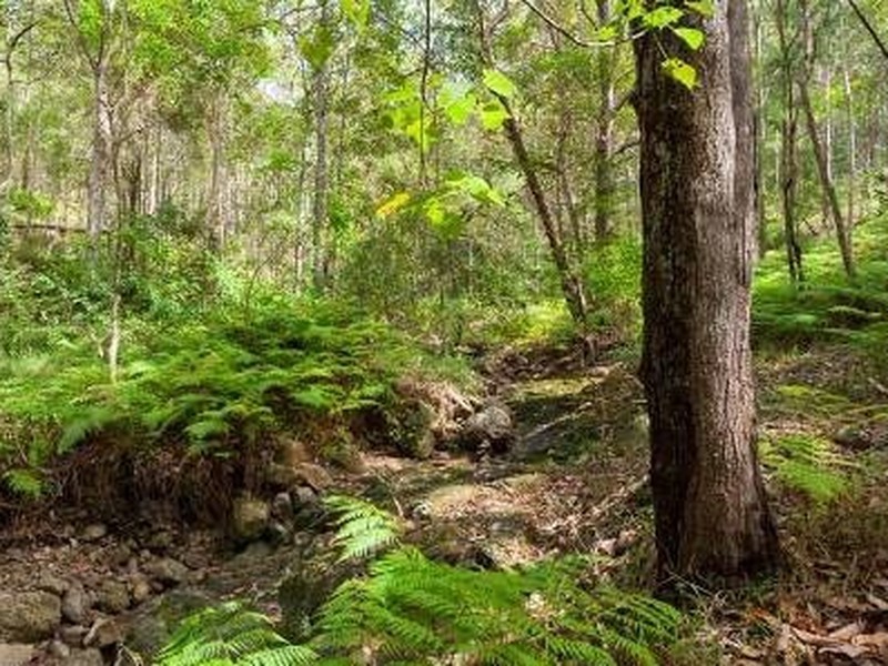 42 Chants Rd., Valdora QLD 4561